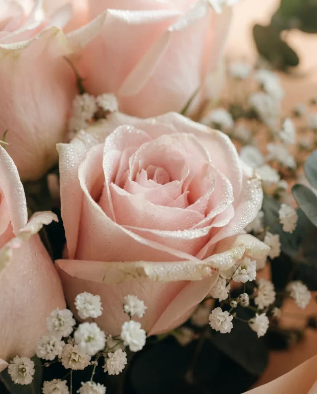 Solo para Ti 💐