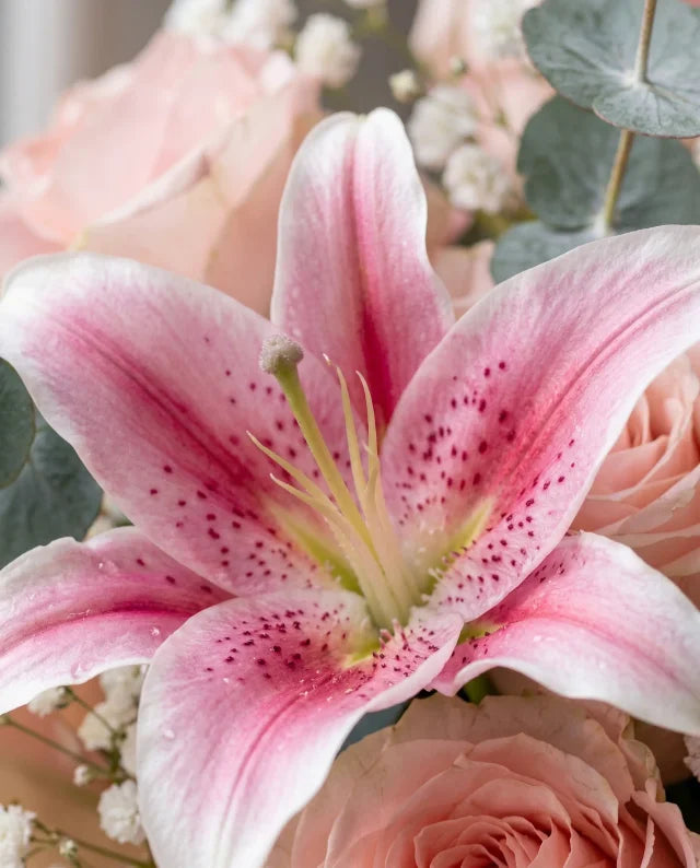 Detalles de Amor 🥰