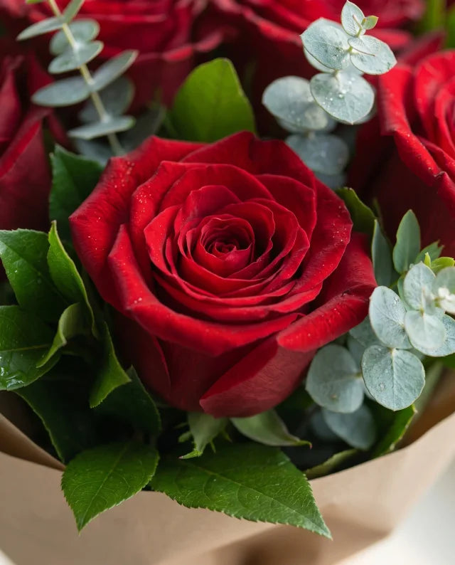 Amor Clásico 🌹